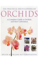 Practical Encyclopedia of Orchids: A Complete Guide to Orchids and Their Cultivation