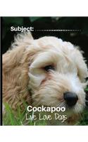 Cockapoo- Live Love Dogs!