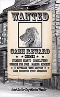 Irish Setter Dog Wanted Poster: Beer Tasting Journal Rate and Record Your Favorite Beers Collect Beer Name, Brewer, Origin, Date, Sampled, Rating, STATS ABV Ibu Og Tg Srm, Price, C