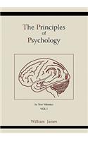 Principles of Psychology (Vol 1)