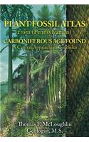 Plant Fossil Atlas from (Pennsylvanian) Carboniferous Age Found in Central Appalachian Coalfields