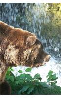 Grizzly Brown Bear Looking for Fish Journal