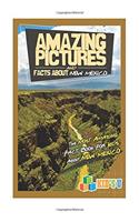 Amazing Pictures and Facts About New Mexico: The Most Amazing Fact Book for Kids About New Mexico (Kids U)