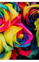 Rainbow Roses Notebook: 150 lined pages, softcover, 6 x 9