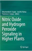 Nitric Oxide and Hydrogen Peroxide Signaling in Higher Plants