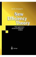 New Efficiency Theory