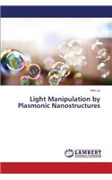Light Manipulation by Plasmonic Nanostructures