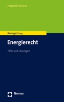 Energierecht: Falle Und Losungen