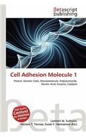 Cell Adhesion Molecule 1