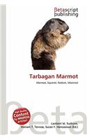 Tarbagan Marmot