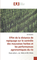 Effet de la distance de repiquage sur le contrôle des mauvaises herbes et les performances agronomiques du riz