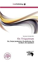 OS Triquetrum: (French)