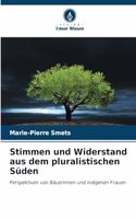 Stimmen und Widerstand aus dem pluralistischen Süden
