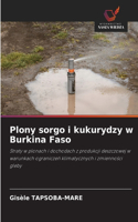 Plony sorgo i kukurydzy w Burkina Faso