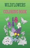 Wildflowers Coloring Book