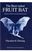 The Short-tailed Fruit Bat