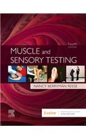 Muscle and Sensory Testing