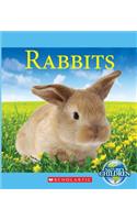 Rabbits