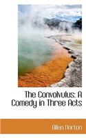 The Convolvulus: A Comedy in Three Acts