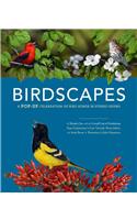 Birdscapes