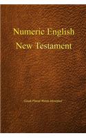 Numeric English New Testament, Greek Plural Words Identified