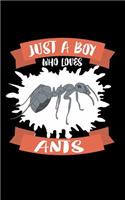 Just A Boy Who Loves Ants