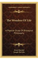 Wonders of Life