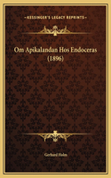 Om Apikalandan Hos Endoceras (1896)