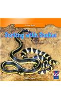 Sorting with Snakes