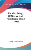 The Morphology Of Normal And Pathological Blood (1906)