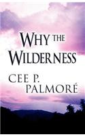 Why the Wilderness