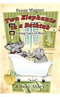 Two Elephants in a Bathtub