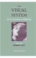 Visual System from Genesis to Maturity