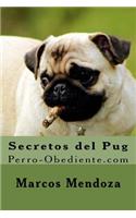 Secretos del Pug: Perro-Obediente.com