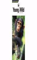 WWF YOUNG WILD SLIM CALENDAR 2021