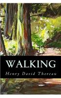 Walking