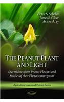 Peanut Plant & Light