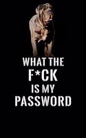 What The F*CK Is My Password, Neapolitan Mastiff