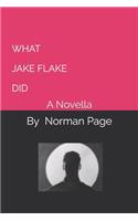 What Jake Flake Did