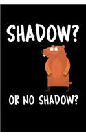 Shadow? Or No Shadow?: Graph Paper Journal / Notebook / Diary Gift - 6"x9" - 120 pages - Graph Paper - 5mm x 5mm - Matte Cover