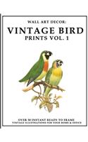 Wall Art Decor: Vintage Bird Prints Vol 1: Over 30 Instant Ready to Frame Full Color Bird Illustration Art Prints for Your Home & Office Decor