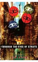 Through the Eyes of Strays