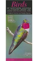 Birds of Northern Arizona Including Flagstaff, Sedona, & Grand Canyon National Park