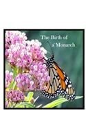 Birth Of A Monarch