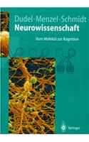 Neurowissenschaft: Vom Molek L Zur Kognition