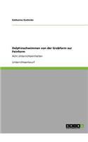 Delphinschwimmen von der Grobform zur Feinform: Acht Unterrichtseinheiten(German)