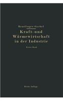 Kraft- Und Wärmewirtschaft in Der Industrie