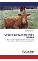 Subinvolyutsiya Matki U Korov