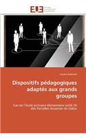 Dispositifs P�dagogiques Adapt�s Aux Grands Groupes