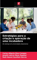 Estratégias para a criação e operação de uma incubadora